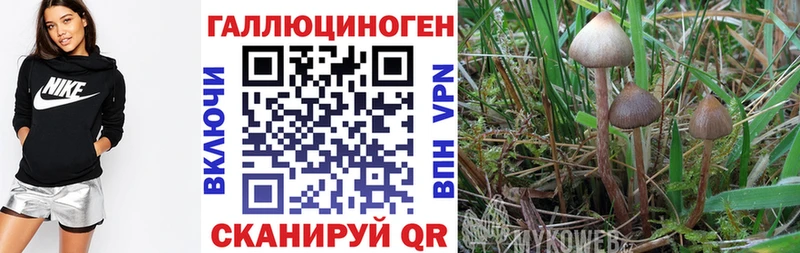 Псилоцибиновые грибы мицелий  Южноуральск 